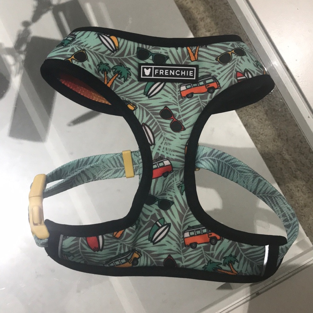 Frenchie Bulldog Duo Reverse Harness